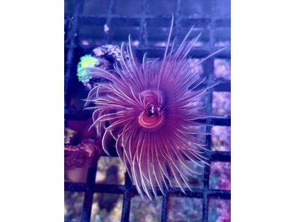 612592109 871409282314002 4627359112079904464 n