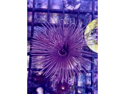 611256396 871409138980683 8841836685709306208 n