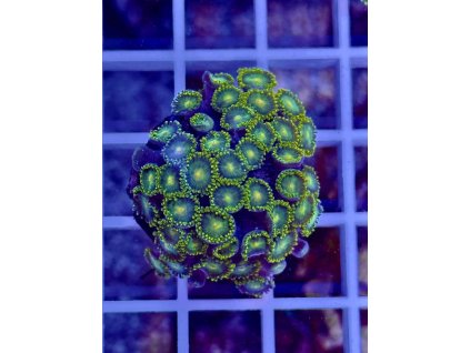 613145904 871404075647856 3601838087328389807 n