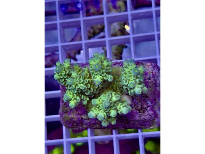 618830388 885698230885107 6036424442509064069 n