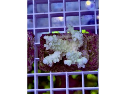 618162694 885698800885050 6123641694660968650 n