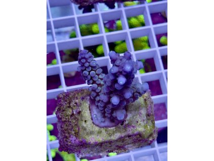 619562666 885697594218504 4913086913708523828 n