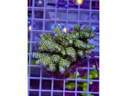 621991672 885698107551786 8357999854351928809 n