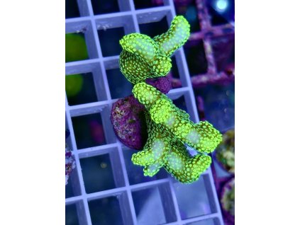 618093174 885697847551812 3001512101041451549 n