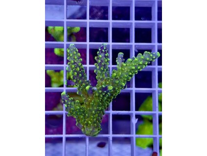 619996591 885697590885171 73770514821745061 n