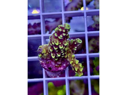 618363330 885699087551688 7840921389813255036 n