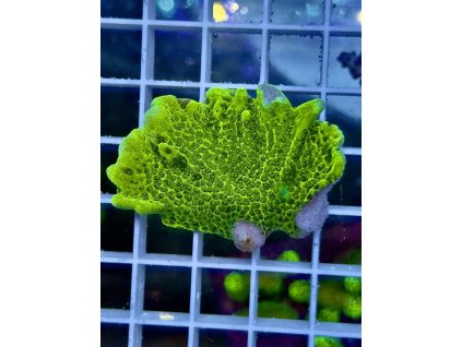 622687885 885697360885194 616284356568959985 n