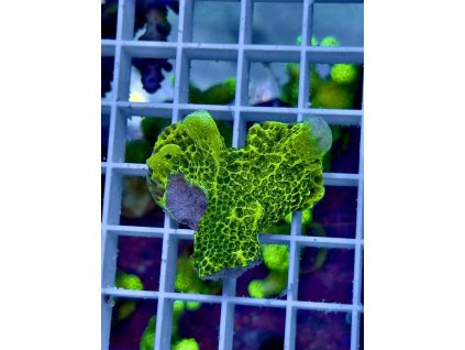 618652648 885699217551675 4805654240064050066 n