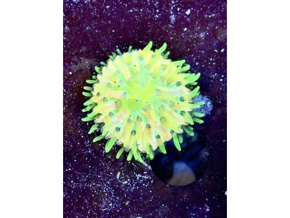 617602557 884976320957298 1174798447974001685 n