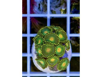 616854447 884975904290673 45750142274754145 n