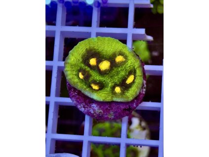 620001433 884975150957415 660783190255636854 n