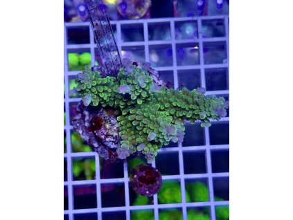 622085125 888443610610569 717070950854219000 n