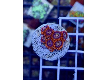 619539361 884976137623983 249241006258129906 n