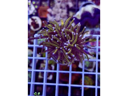 621801846 884976417623955 5255284949663798428 n