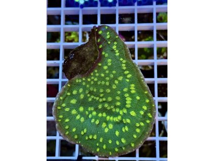 621797303 884974217624175 1432897558078146459 n