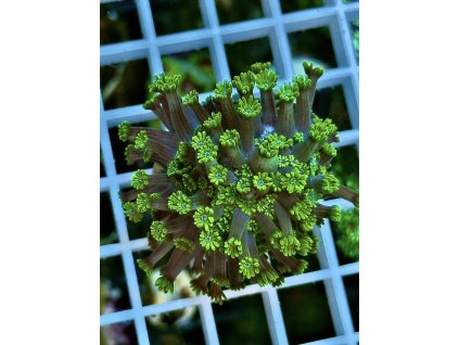 617399419 884975590957371 7781255289719645609 n