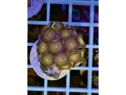 622701972 884975984290665 1049809892641512503 n