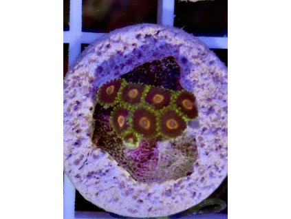 617885554 884976294290634 2118108502027279043 n