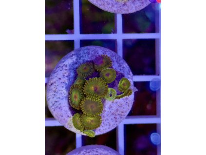 618083037 884975634290700 973721074155250454 n