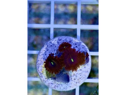 618814879 884976120957318 7989827555034647227 n