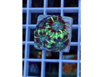 618364702 884976560957274 8315430845223340339 n