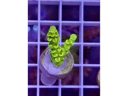 626537051 891581190296811 1774392953387021739 n