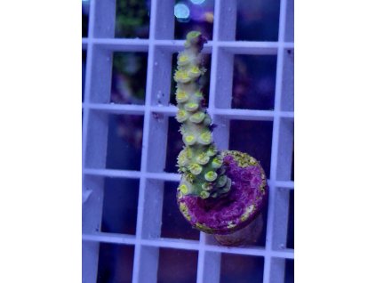 625201636 891581760296754 311488666767377184 n