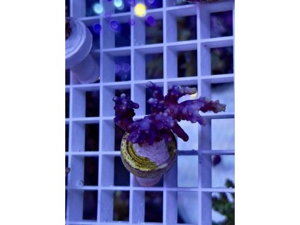 623790625 891581770296753 2988445443419008054 n