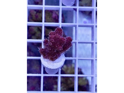 625292129 891582010296729 4533885758326711262 n