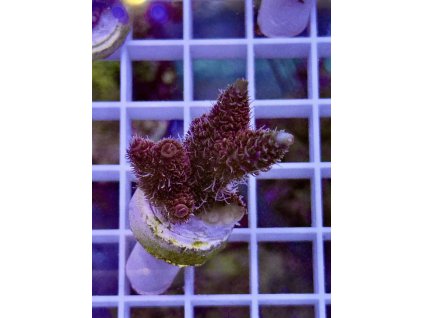 623750572 891581990296731 8895545806118991290 n