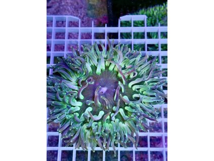 629439897 896783336443263 3106386643006724753 n 2