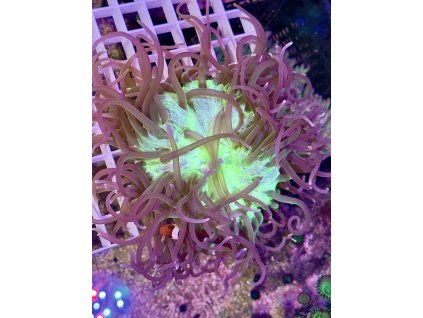 629715620 896783473109916 5782874302914537413 n