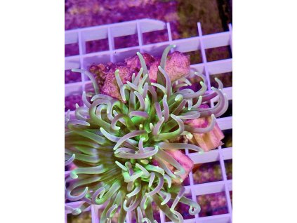 627747705 896783769776553 8534204270316276905 n