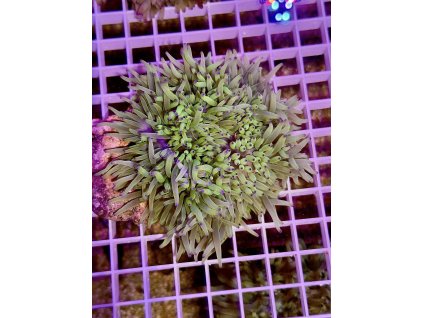 628323414 896783743109889 2146777242670390869 n