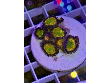 630198763 897176093070654 482694698121330110 n