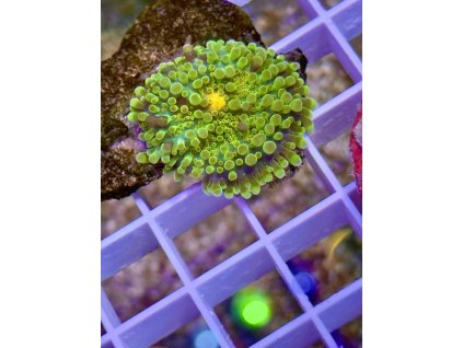 631807786 897175803070683 8037810694204387956 n