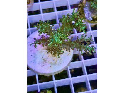 629661232 897176749737255 7534379557021812495 n