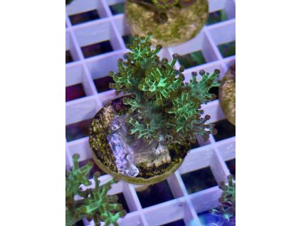 628029198 897176349737295 8105065534540497985 n