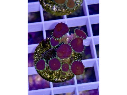 629453810 897176483070615 5842934240833630338 n