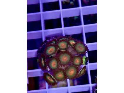 631099029 897176613070602 1205650476589632504 n