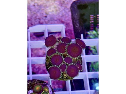 631290212 897176379737292 4993622038110944919 n