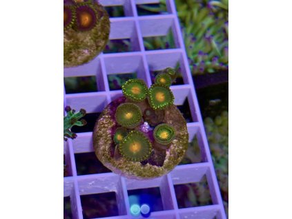 629203494 897176363070627 6049900593165332212 n