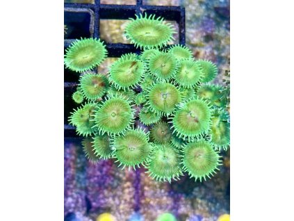 630042434 897175993070664 3265293459984055149 n