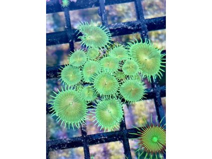 631175608 897176033070660 758189789748938561 n