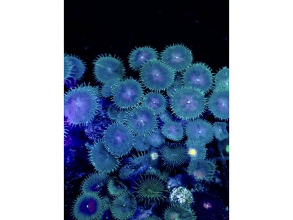 628348630 897176439737286 8099064141196911355 n