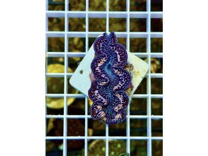 633688369 903235499131380 2523704198725062188 n