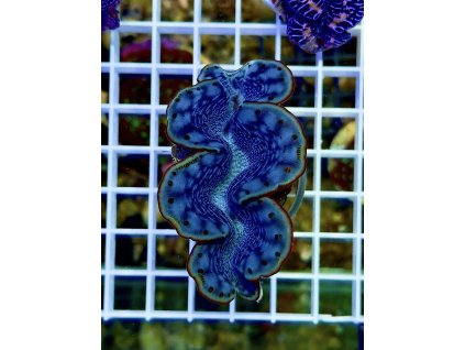 634742829 903235472464716 3575550982284321414 n