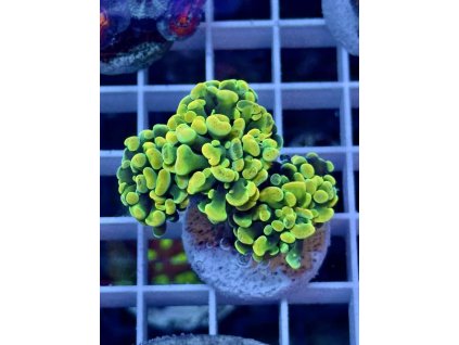 634914867 903522052436058 8810205181705767500 n