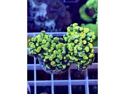 634792800 903522019102728 7676802295923176735 n