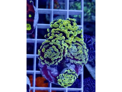 633961144 903522585769338 1967329628133919189 n